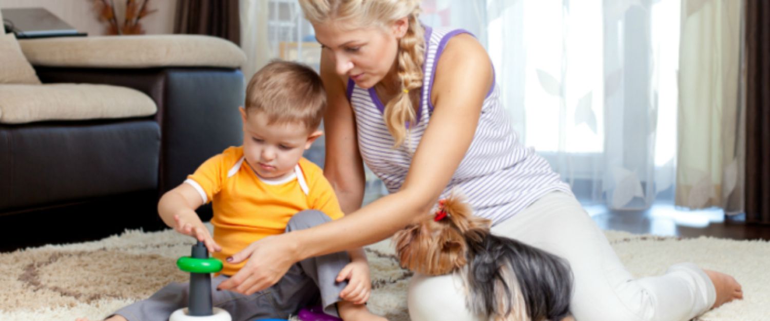 Looking for Affordable House Cleaning in Washington DC?