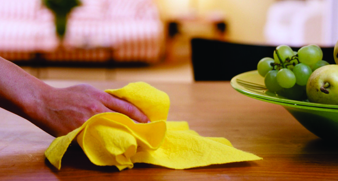 House Cleaning & Maid Services Fairfax, Arlington and Washington DC