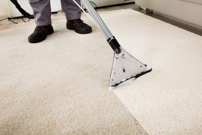 carpet cleaning