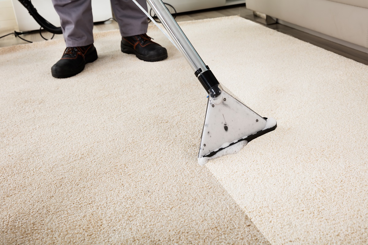 How Much Is Carpet Cleaning  