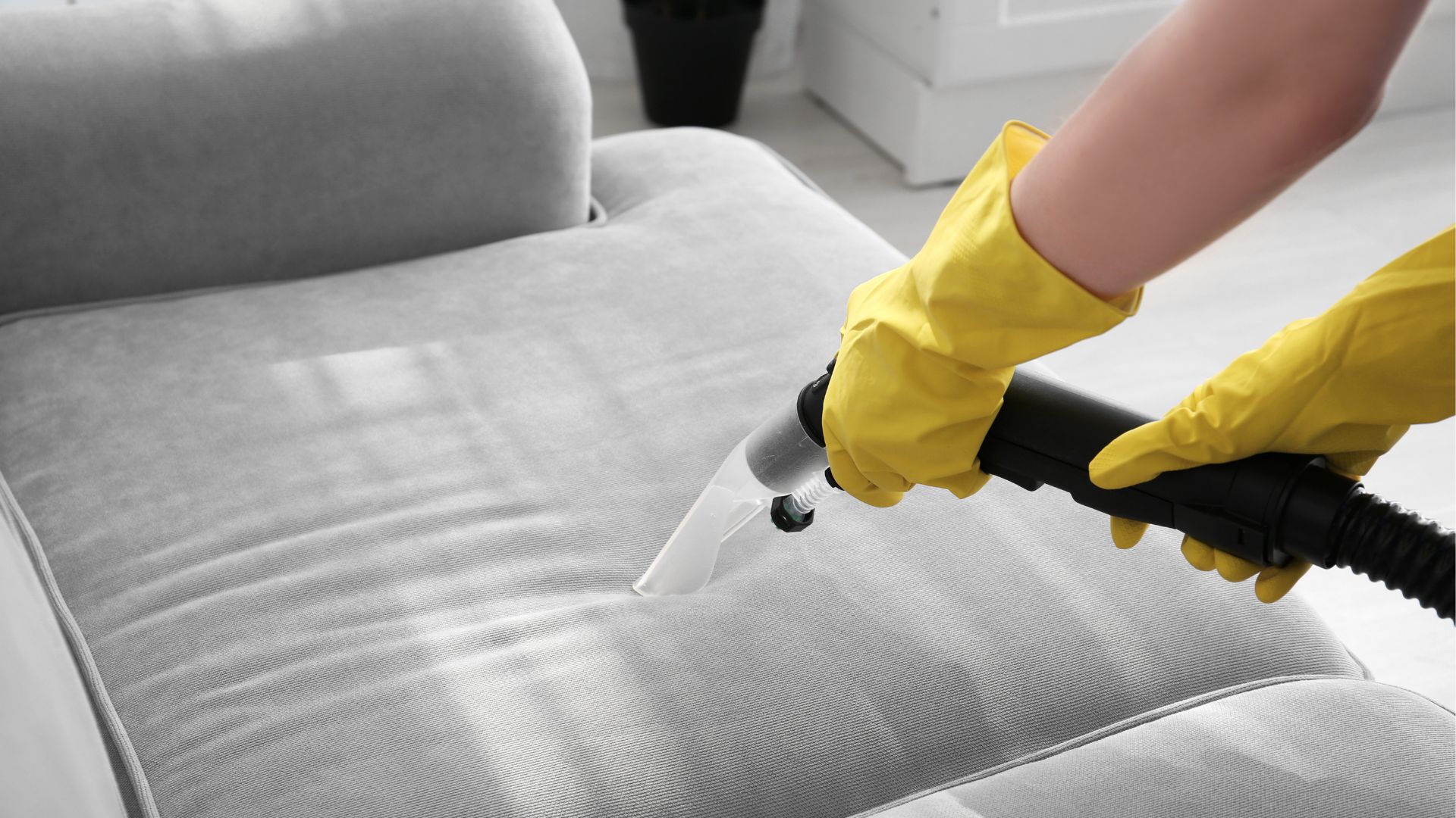 The Best Upholstery Cleaner You Absolutely Need For Your Home