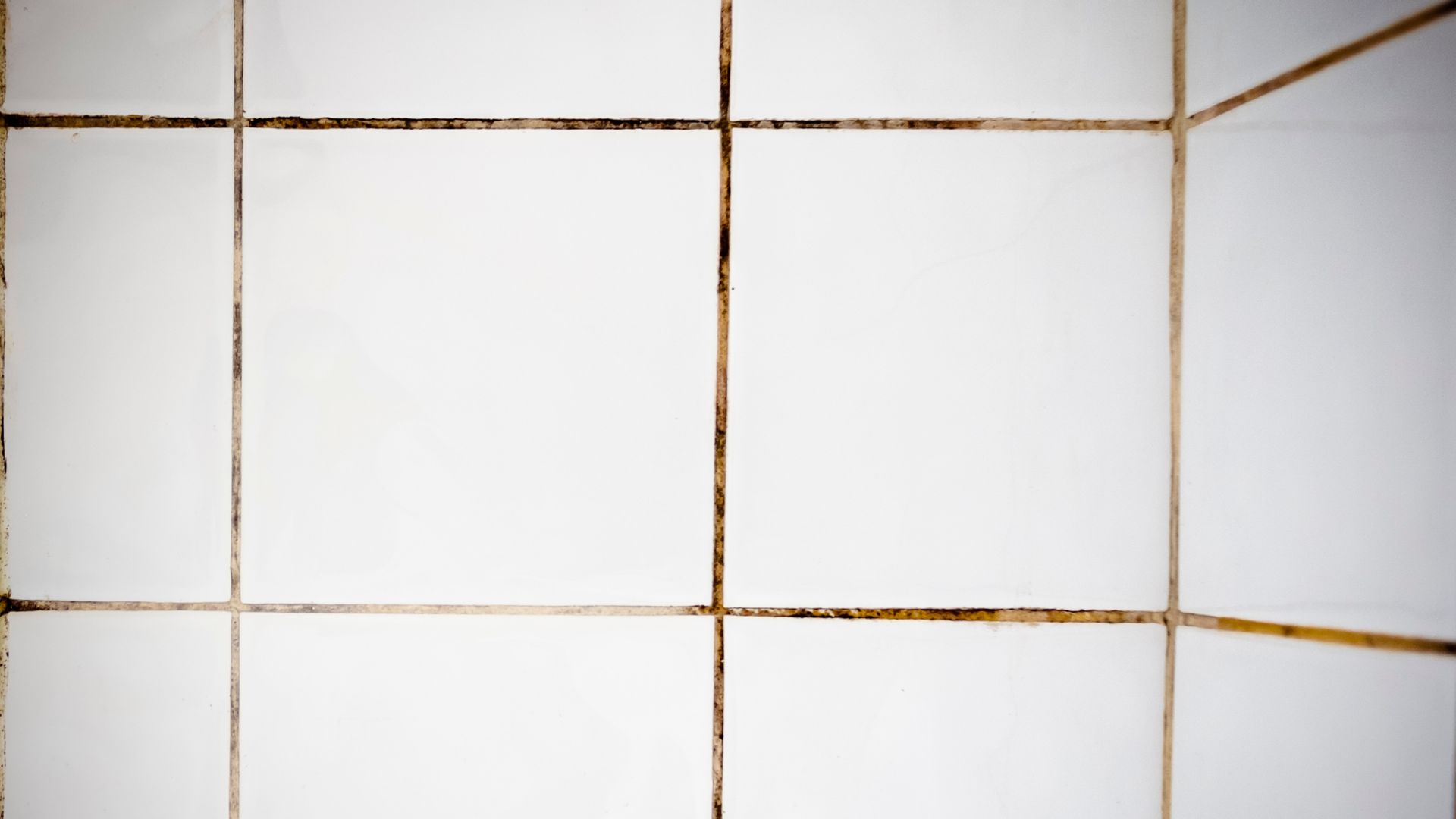Top 10 Best Tile & Grout Cleaning near you