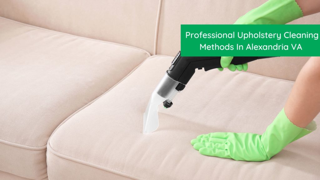 5 Professional Upholstery Cleaning Methods in Alexandria VA