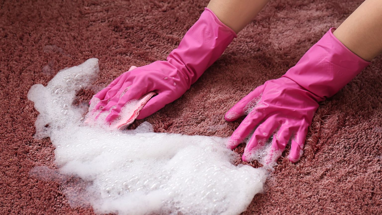 Using steam cleaners on carpets фото 101