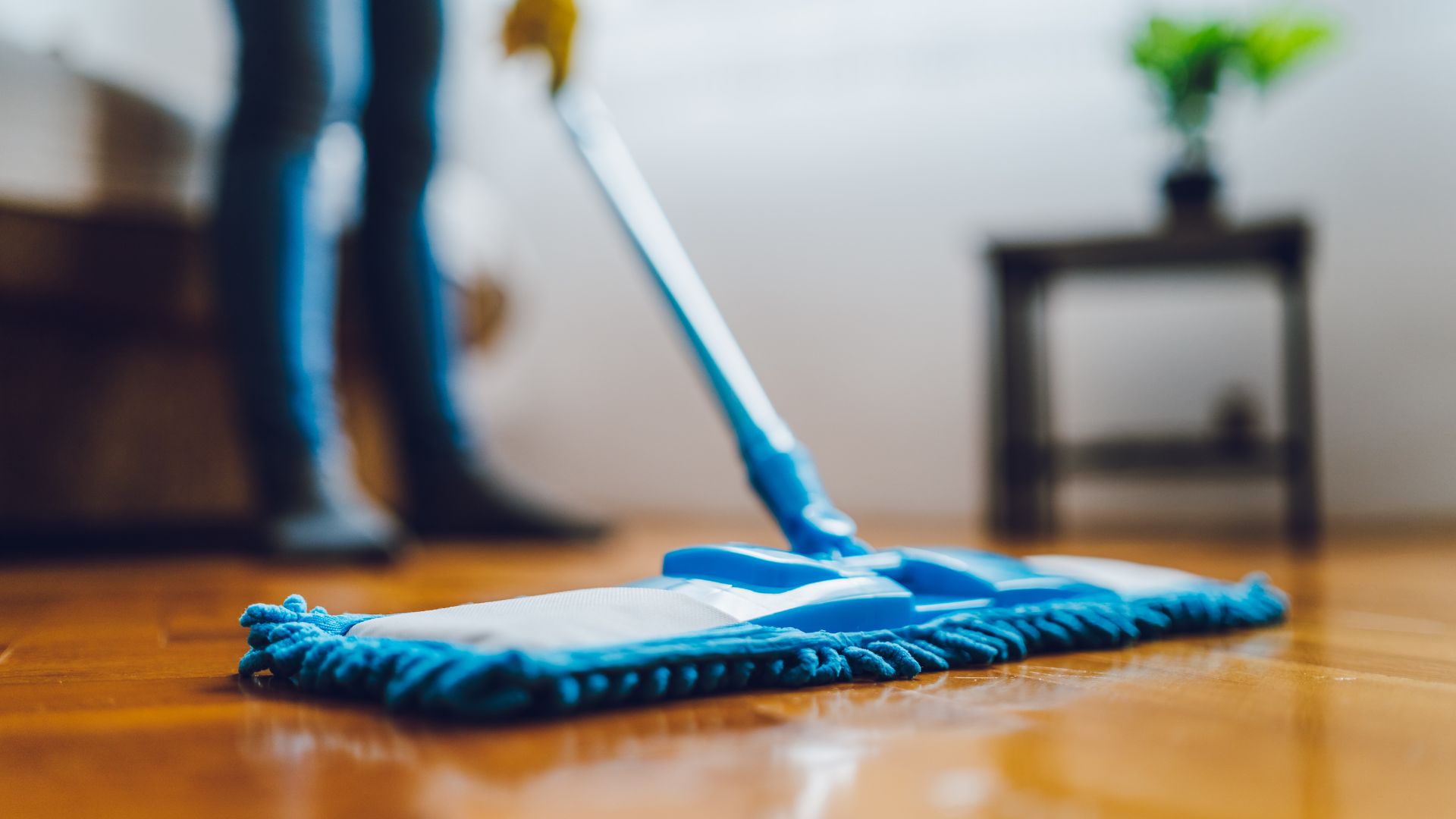 How Much Does House Cleaning Cost in 2023?