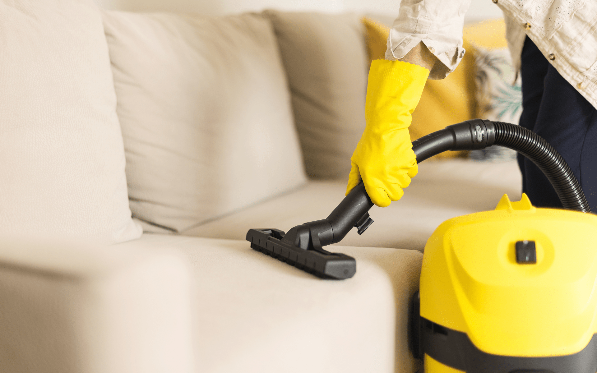 Vacuuming the sofa
