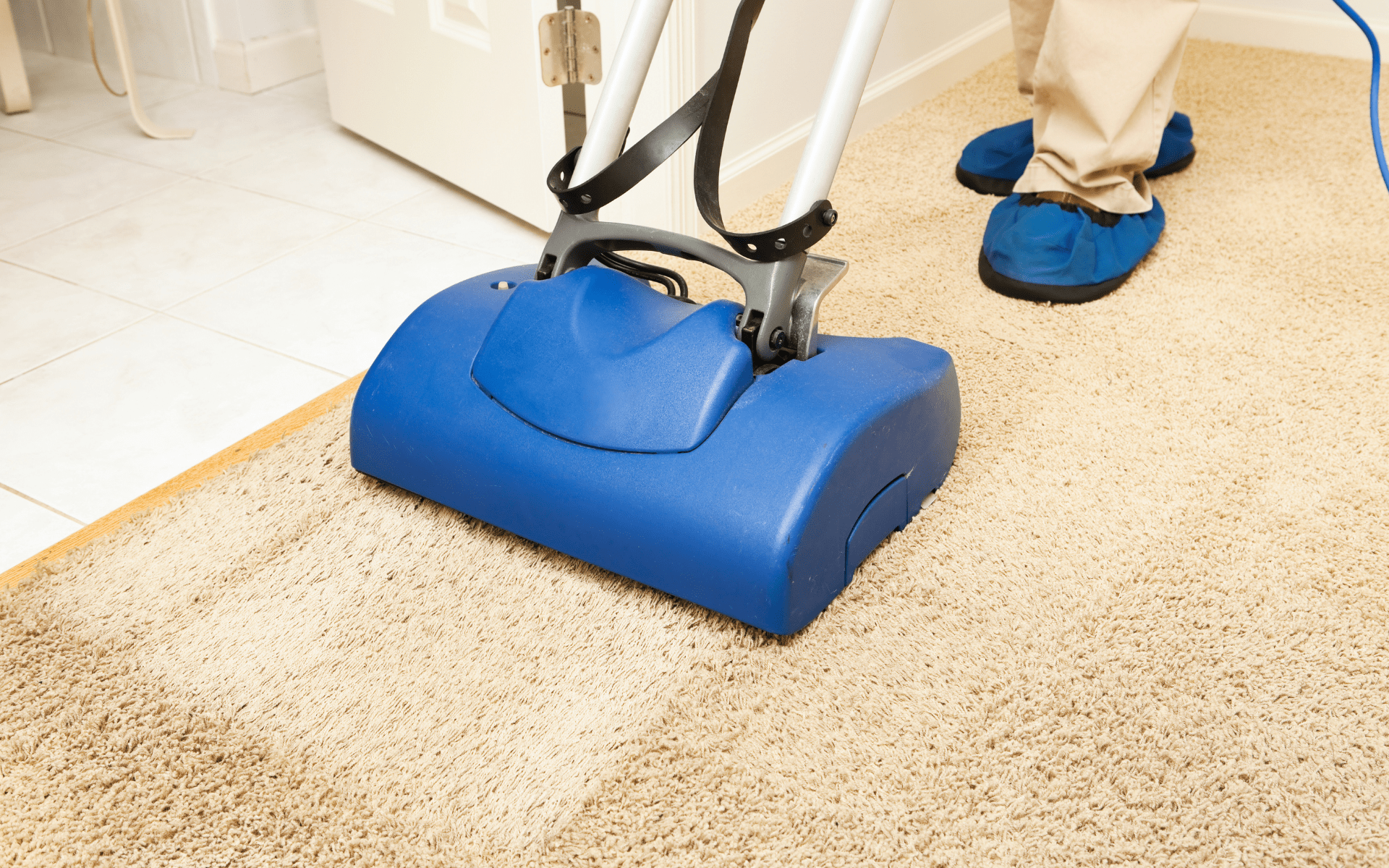 Professional carpet cleaning with industrial machine removing dirt and stains – Next Day Cleaning service