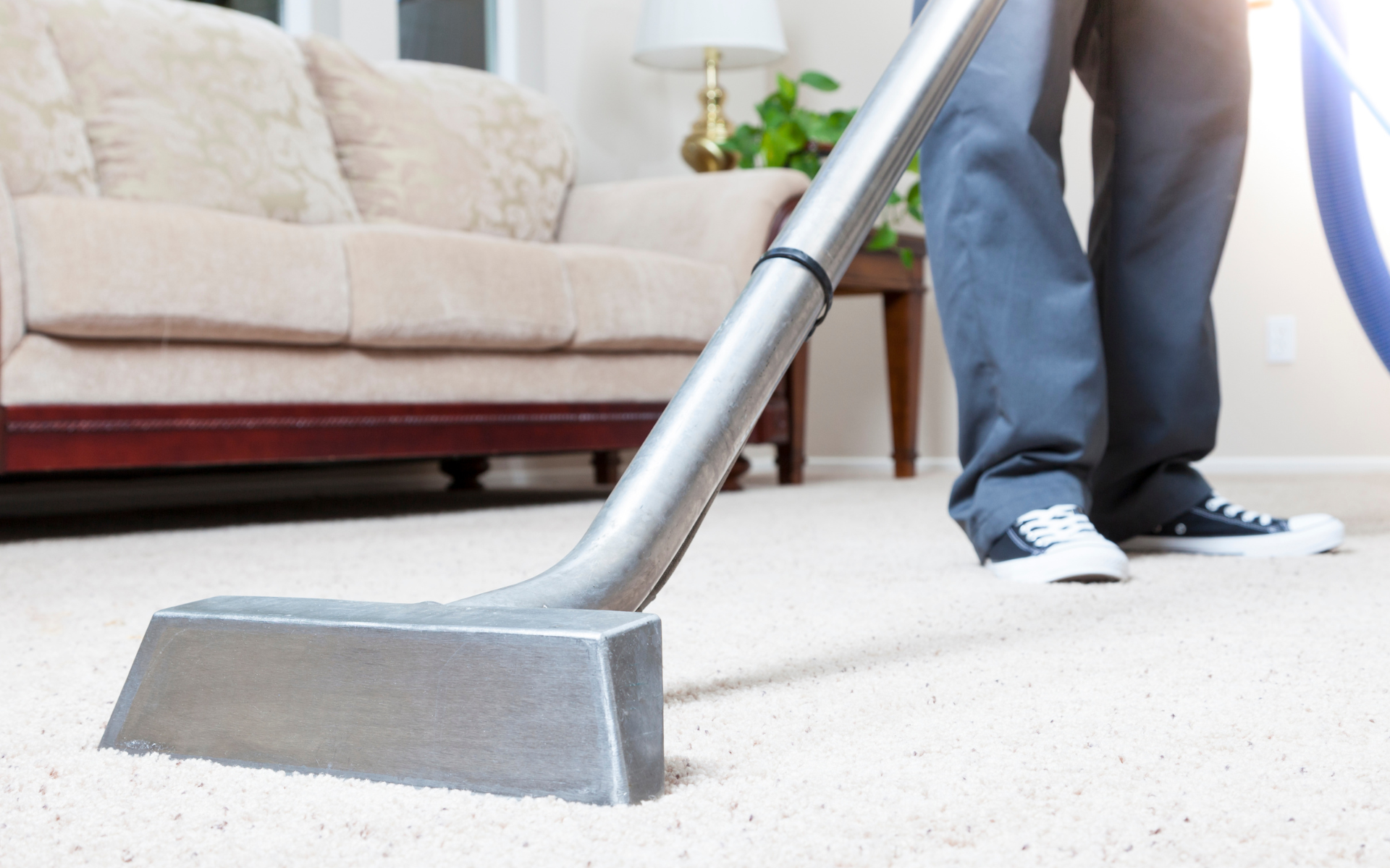 Professional cleaner using a vacuum extractor on a light carpet in a living room with a sofa in the background.
